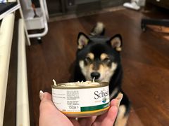 -comecome来吧宠物(奥克斯中心店)