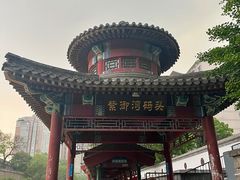 -皇家御河游(紫御湾码头)