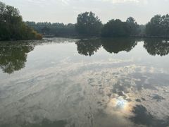 -大湾区中央湿地公园