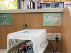 -联合动物医院(光谷诊疗中心)