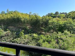 -大唐贡茶院