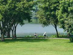 -顺峰山公园