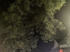 -南锣鼓巷