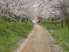 -天河潭旅游度假区