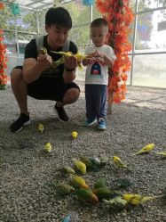 -萌宠亲子动物乐园(槐房万达店)