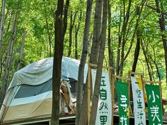 -帽儿山风景区