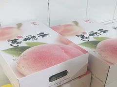 -老袁家蜜桃农场·阳山水蜜桃