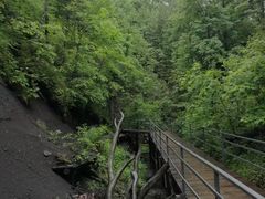 -峡谷浮石林景区