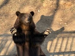 -石家庄市动物园