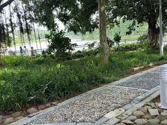 -东莞植物园