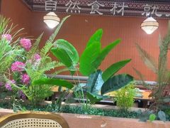 -云海肴·汽锅鸡·云南菜(南强街店)