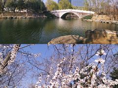 -大兴滨河森林公园