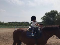 -月河湾马术俱乐部(朝阳店)