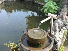 -宁波余姚老柿林山居度假村