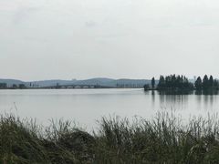 -东湖落雁景区