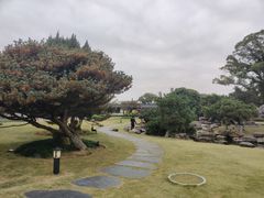-江心屿景区