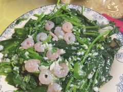 虾仁烧菠菜-红升老菜馆(巨兴街店)