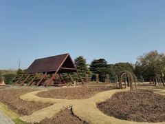 -上海滨江森林公园