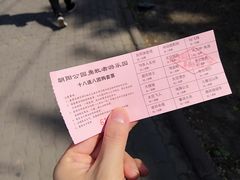 -朝阳公园游乐园