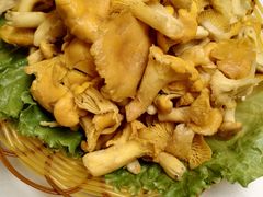 -菌海森林·非遗野生菌火锅(西山区滇池路摩根道店)