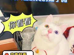 -瑞鹏宠物医院·眼科·皮肤·中兽医(大悦城分院)