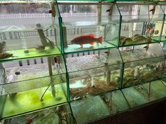 -凯华海鲜火锅·传承三十六年