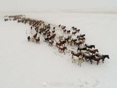 -山丹皇家马场
