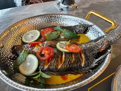 -Hi City·城市之巅