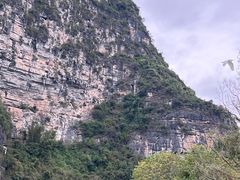 -明仕田园