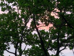 -帽儿山国家森林公园