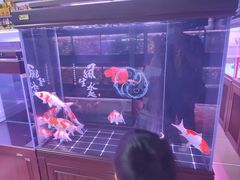 -朝来春花卉市场
