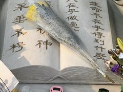 -黄家驹墓