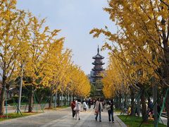 -龙华素斋(龙华路店)