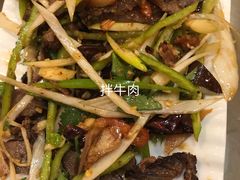 -凤齐羊肉烩面馆
