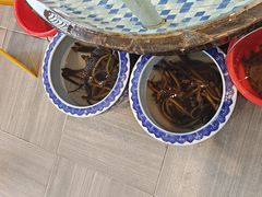 -黄泥岗·地道湖北菜(奥特莱斯店)