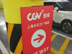 -白玉兰广场停车场