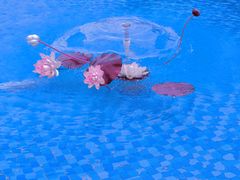 -长春公园(普阳街道)