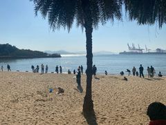 -鼓浪屿内厝澳码头(轮渡站)