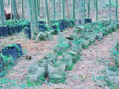 -黄公望隐居地