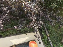 -芭东小镇温泉