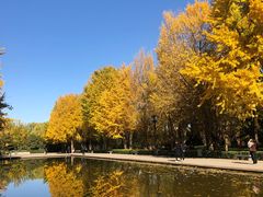 -玲珑塔公园