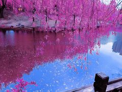 -长春公园(普阳街道)