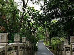 -新江湾城公园