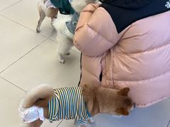 -怪兽屋·羊驼·猫咖·狗咖(俊华广场店)