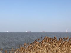 -上海吴淞炮台湾国家湿地公园