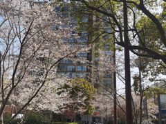 -81BAKERY(大学路店)