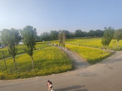 -长白岛森林公园
