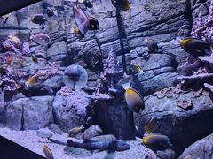 -成都浩海立方海洋公园