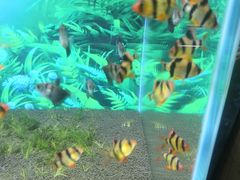 -梦幻海洋王国(吾悦广场张家港店)