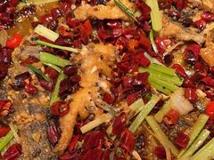 -老板恋上鱼(印象城店)